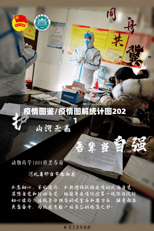 疫情图鉴/疫情图解统计图2021