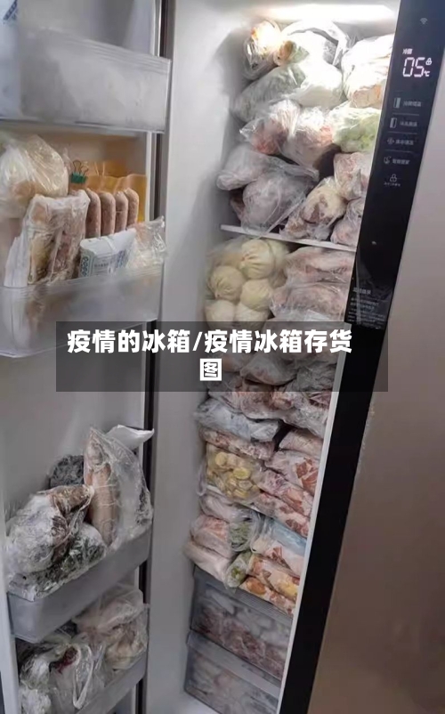 疫情的冰箱/疫情冰箱存货图