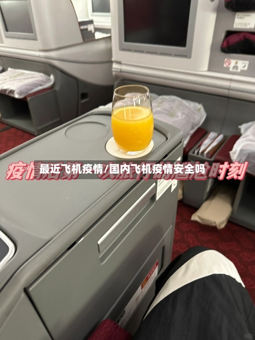 最近飞机疫情/国内飞机疫情安全吗