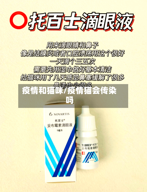 疫情和猫咪/疫情猫会传染吗