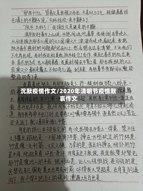 沉默疫情作文/2020年清明节疫情默哀作文