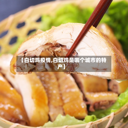 【白切鸡疫情,白切鸡是哪个城市的特产】