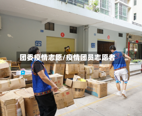 团委疫情志愿/疫情团员志愿者