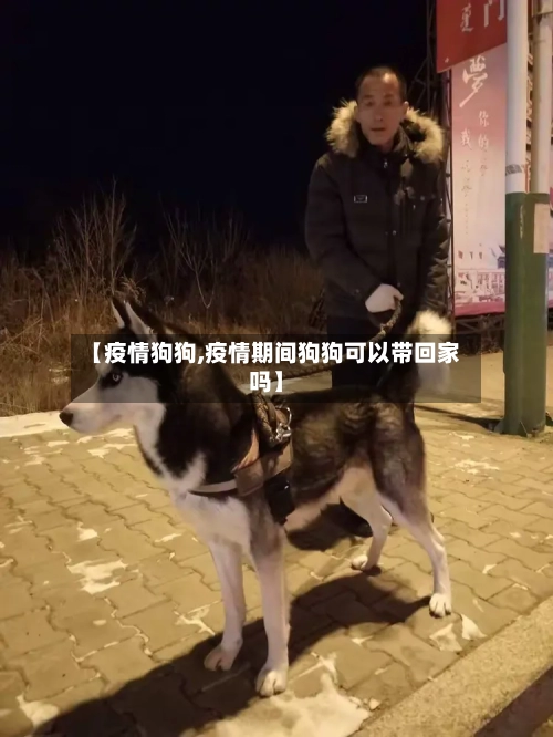 【疫情狗狗,疫情期间狗狗可以带回家吗】
