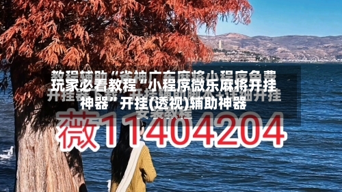 玩家必看教程“小程序微乐麻将开挂神器”开挂(透视)辅助神器