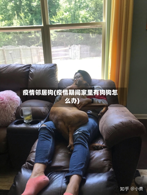 疫情邻居狗(疫情期间家里有狗狗怎么办)