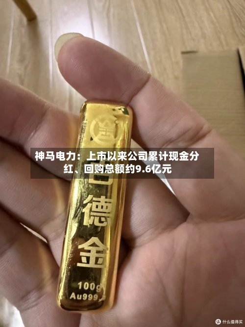 神马电力：上市以来公司累计现金分红、回购总额约9.6亿元