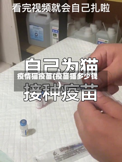 疫情猫疫苗(疫苗猫多少钱)