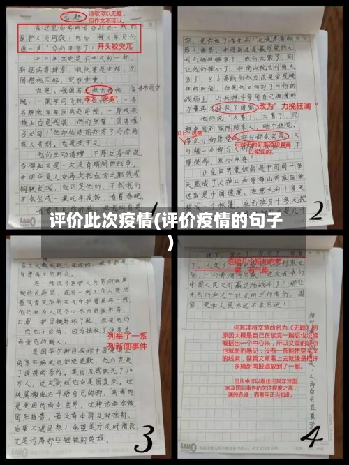 评价此次疫情(评价疫情的句子)