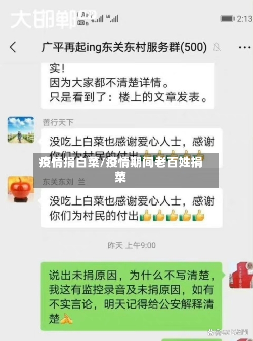 疫情捐白菜/疫情期间老百姓捐菜