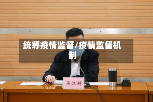 统筹疫情监督/疫情监督机制