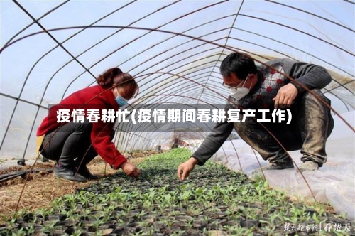 疫情春耕忙(疫情期间春耕复产工作)