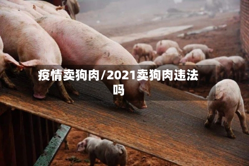 疫情卖狗肉/2021卖狗肉违法吗