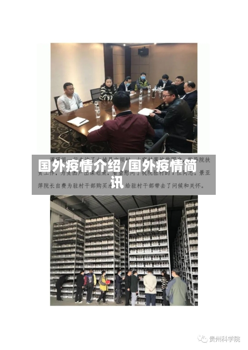 国外疫情介绍/国外疫情简讯