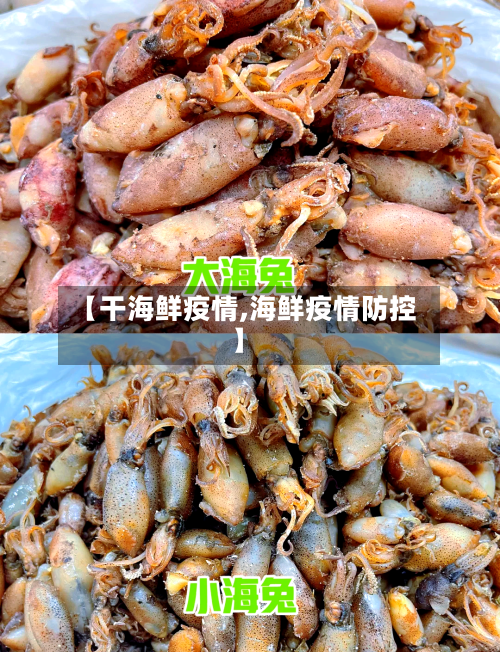【干海鲜疫情,海鲜疫情防控】