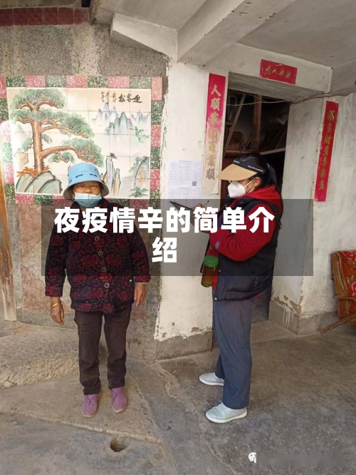 夜疫情辛的简单介绍
