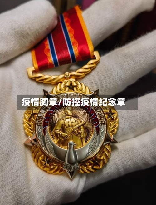 疫情胸章/防控疫情纪念章
