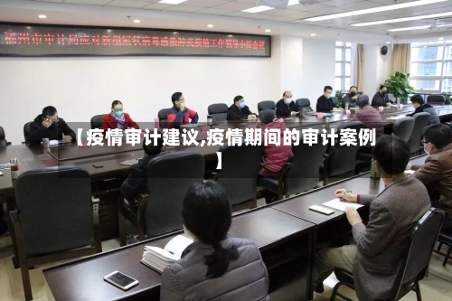 【疫情审计建议,疫情期间的审计案例】