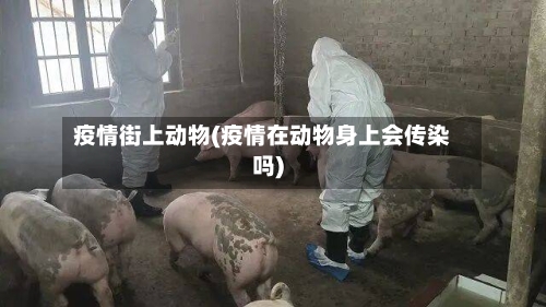 疫情街上动物(疫情在动物身上会传染吗)