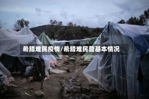 希腊难民疫情/希腊难民营基本情况