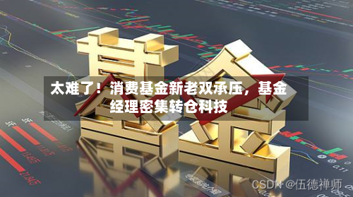 太难了！消费基金新老双承压，基金经理密集转仓科技