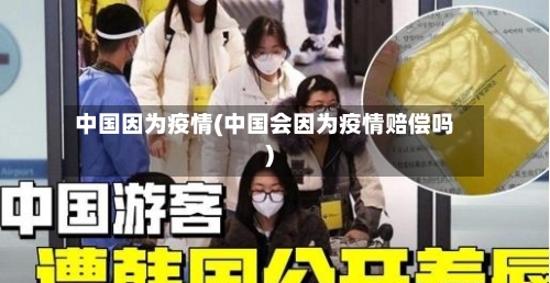 中国因为疫情(中国会因为疫情赔偿吗)