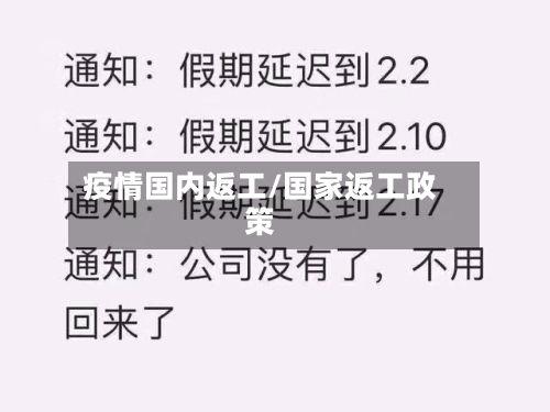 疫情国内返工/国家返工政策