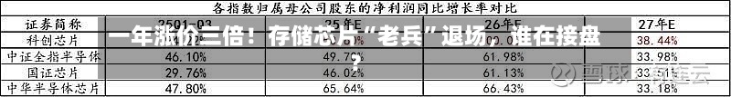 一年涨价三倍！存储芯片“老兵”退场，谁在接盘？