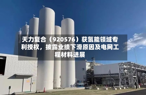 天力复合（920576）获氢能领域专利授权，披露业绩下滑原因及电网工程材料进展
