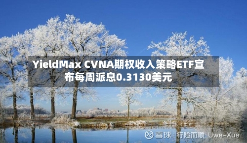 YieldMax CVNA期权收入策略ETF宣布每周派息0.3130美元