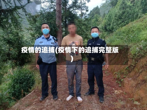 疫情的追捕(疫情下的追捕完整版)