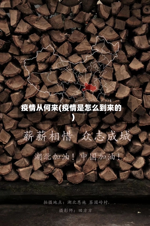 疫情从何来(疫情是怎么到来的)