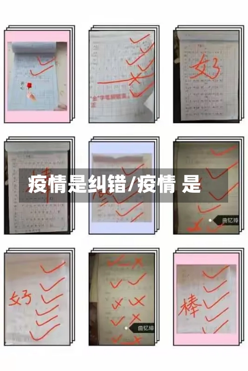 疫情是纠错/疫情 是