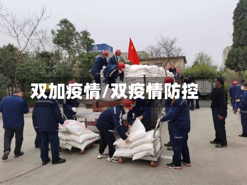 双加疫情/双疫情防控