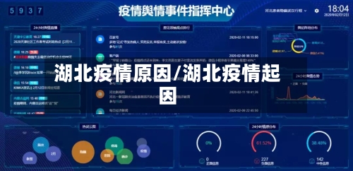湖北疫情原因/湖北疫情起因