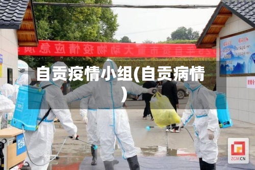自贡疫情小组(自贡病情)