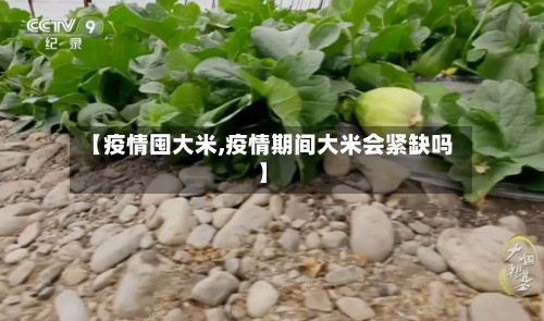【疫情囤大米,疫情期间大米会紧缺吗】