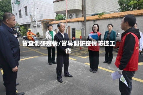 督查调研疫情/督导调研疫情防控工作
