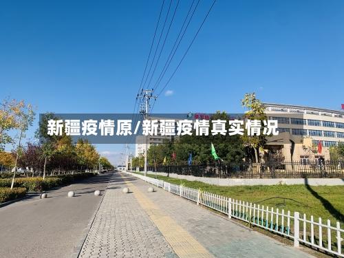 新疆疫情原/新疆疫情真实情况