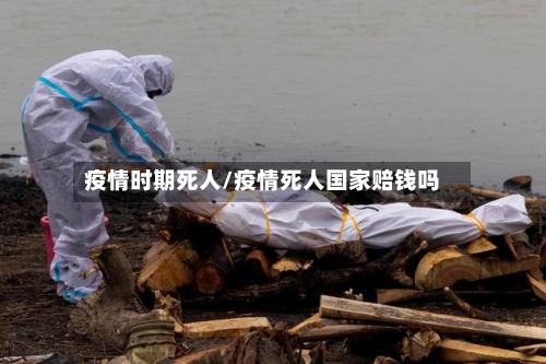 疫情时期死人/疫情死人国家赔钱吗