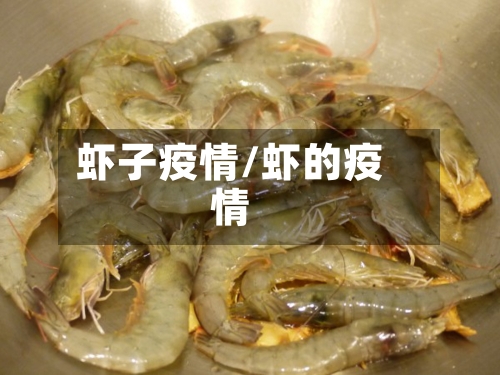 虾子疫情/虾的疫情