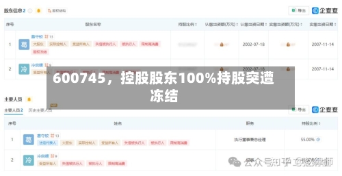 600745，控股股东100%持股突遭冻结