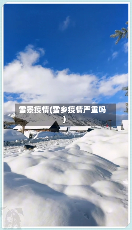 雪景疫情(雪乡疫情严重吗)