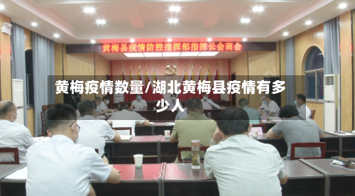 黄梅疫情数量/湖北黄梅县疫情有多少人