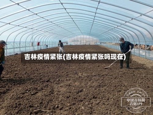 吉林疫情紧张(吉林疫情紧张吗现在)