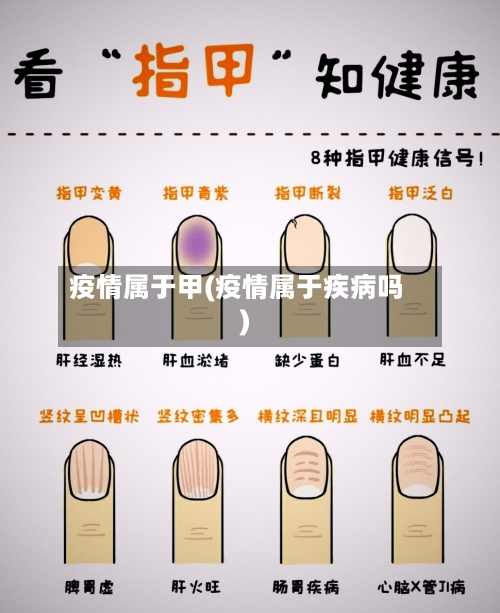疫情属于甲(疫情属于疾病吗)
