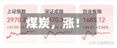 煤炭,涨!