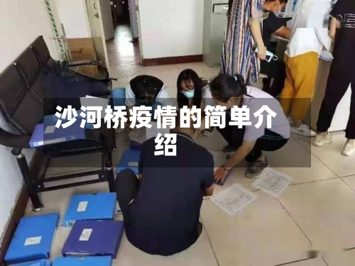 沙河桥疫情的简单介绍