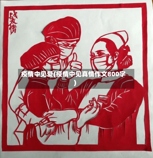 疫情中见爱(疫情中见真情作文800字)