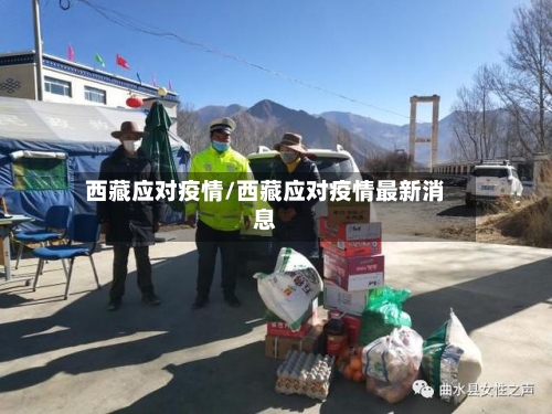 西藏应对疫情/西藏应对疫情最新消息